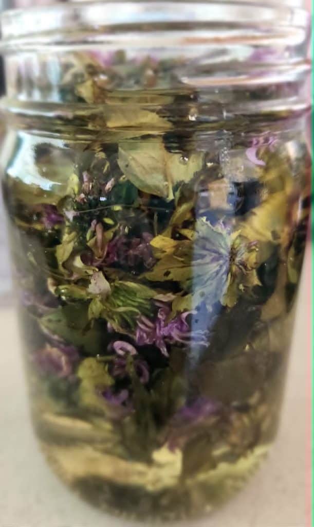 bee balm infused oil