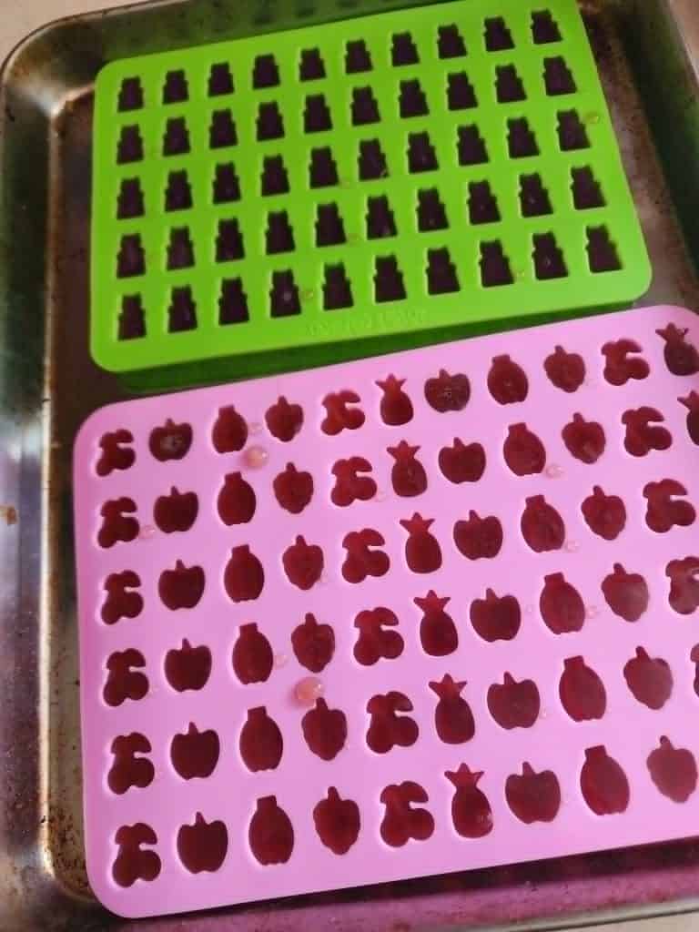 elderberry gummies in molds
