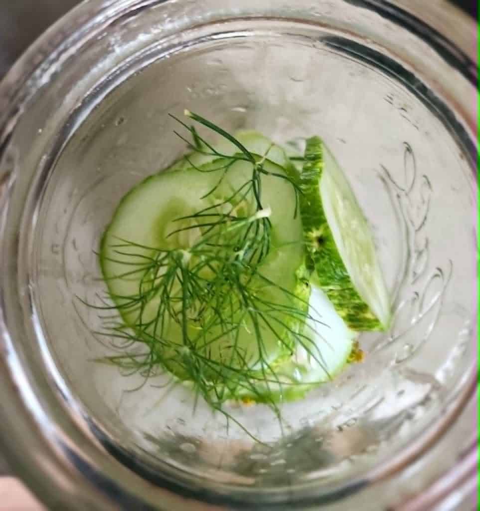 layering dill sprig with cucumbers for refrigerator pickles