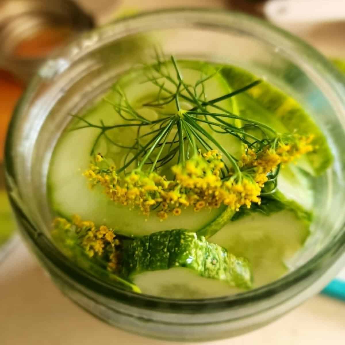 refrigerator dill pickles top of jar