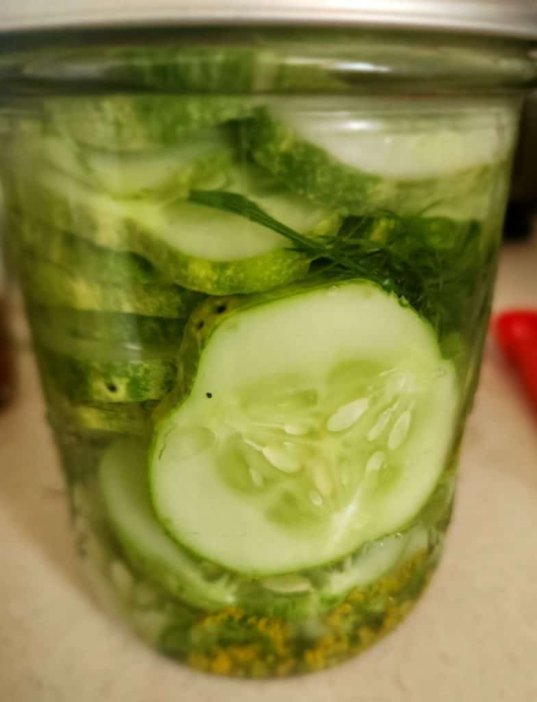 refrigerator pickles in jar